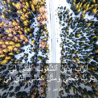 Picture 03 - اَلْمَزَامِيرُ 7:8 AVD - ٱلرَّبُّ يَدِينُ - Bible Verse Picture