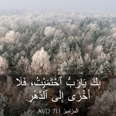 Picture 03 - اَلْمَزَامِيرُ 71:1 AVD - بِكَ يَارَبُّ - Bible Verse Picture