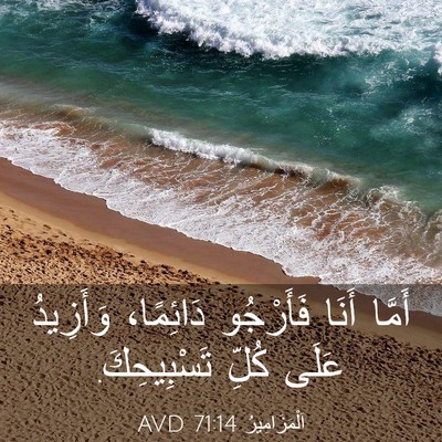 Picture 03 - اَلْمَزَامِيرُ 71:14 AVD - أَمَّا أَنَا فَأَرْجُو - Bible Verse Picture