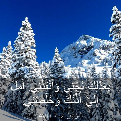 Picture 03 - اَلْمَزَامِيرُ 71:2 AVD - بِعَدْلِكَ نَجِّنِي - Bible Verse Picture