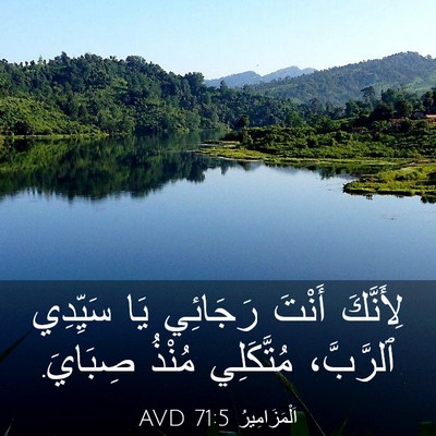 Picture 03 - اَلْمَزَامِيرُ 71:5 AVD - لِأَنَّكَ أَنْتَ رَجَائِي - Bible Verse Picture
