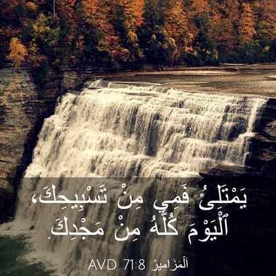 Picture 03 - اَلْمَزَامِيرُ 71:8 AVD - يَمْتَلِئُ فَمِي مِنْ - Bible Verse Picture