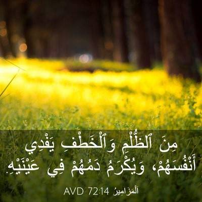 Picture 03 - اَلْمَزَامِيرُ 72:14 AVD - مِنَ ٱلظُّلْمِ - Bible Verse Picture