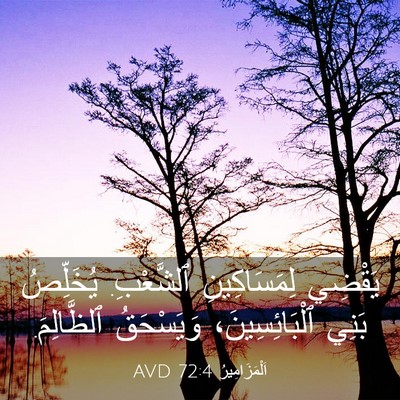 Picture 03 - اَلْمَزَامِيرُ 72:4 AVD - يَقْضِي لِمَسَاكِينِ - Bible Verse Picture