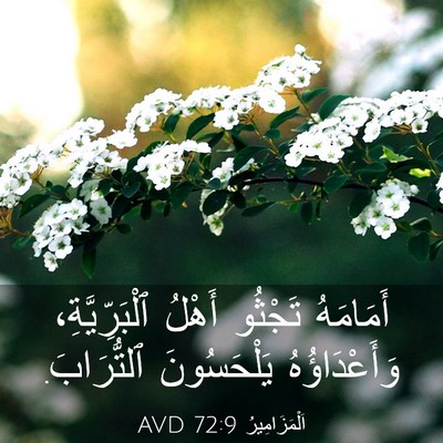 Picture 03 - اَلْمَزَامِيرُ 72:9 AVD - أَمَامَهُ تَجْثُو أَهْلُ - Bible Verse Picture