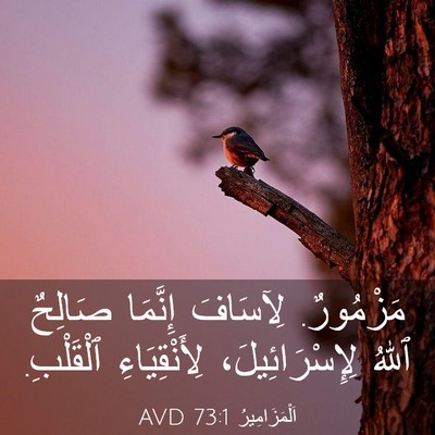 Picture 03 - اَلْمَزَامِيرُ 73:1 AVD - مَزْمُورٌ. لِآسَافَ - Bible Verse Picture