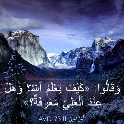 Picture 03 - اَلْمَزَامِيرُ 73:11 AVD - وَقَالُوا: «كَيْفَ - Bible Verse Picture