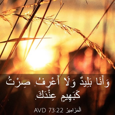 Picture 03 - اَلْمَزَامِيرُ 73:22 AVD - وَأَنَا بَلِيدٌ وَلَا - Bible Verse Picture