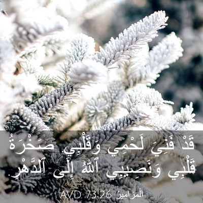 Picture 03 - اَلْمَزَامِيرُ 73:26 AVD - قَدْ فَنِيَ لَحْمِي - Bible Verse Picture