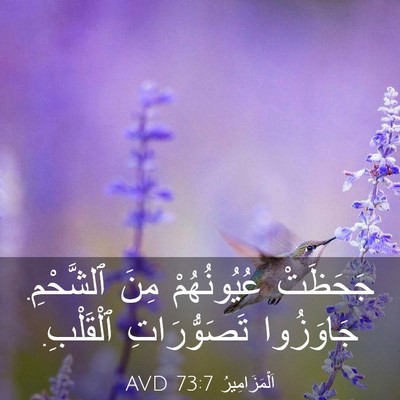 Picture 03 - اَلْمَزَامِيرُ 73:7 AVD - جَحَظَتْ عُيُونُهُمْ مِنَ - Bible Verse Picture