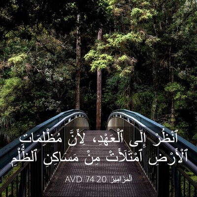 Picture 03 - اَلْمَزَامِيرُ 74:20 AVD - ٱنْظُرْ إِلَى ٱلْعَهْدِ، - Bible Verse Picture