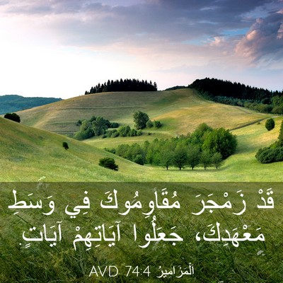 Picture 03 - اَلْمَزَامِيرُ 74:4 AVD - قَدْ زَمْجَرَ - Bible Verse Picture