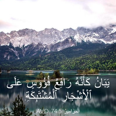 Picture 03 - اَلْمَزَامِيرُ 74:5 AVD - يَبَانُ كَأَنَّهُ رَافِعُ - Bible Verse Picture