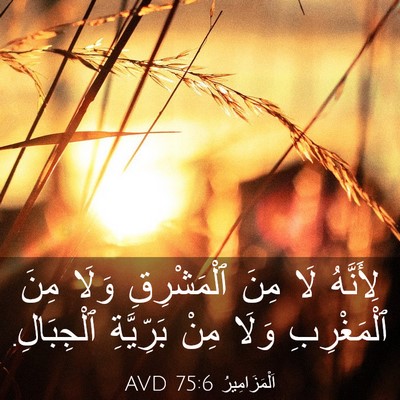 Picture 03 - اَلْمَزَامِيرُ 75:6 AVD - لِأَنَّهُ لَا مِنَ - Bible Verse Picture