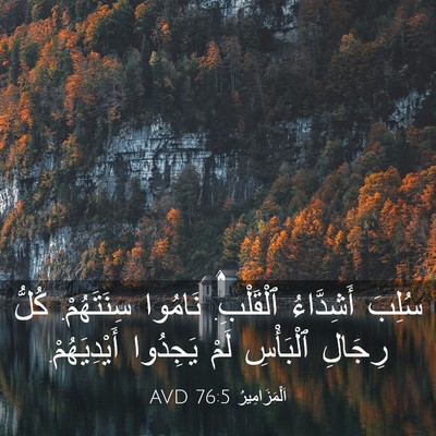 Picture 03 - اَلْمَزَامِيرُ 76:5 AVD - سُلِبَ أَشِدَّاءُ - Bible Verse Picture