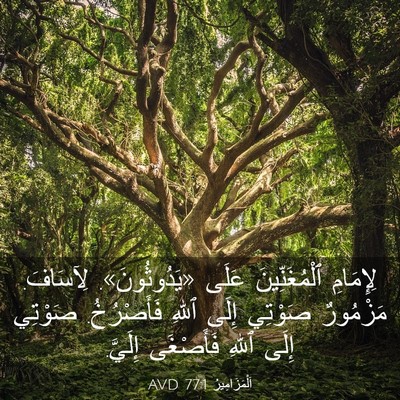 Picture 03 - اَلْمَزَامِيرُ 77:1 AVD - لِإِمَامِ ٱلْمُغَنِّينَ - Bible Verse Picture