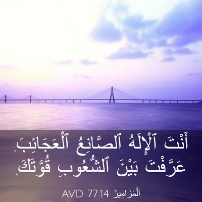 Picture 03 - اَلْمَزَامِيرُ 77:14 AVD - أَنْتَ ٱلْإِلَهُ - Bible Verse Picture