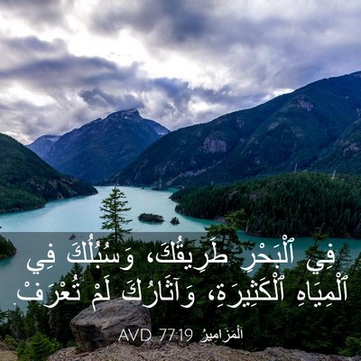 Picture 03 - اَلْمَزَامِيرُ 77:19 AVD - فِي ٱلْبَحْرِ طَرِيقُكَ، - Bible Verse Picture