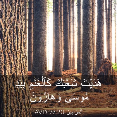 Picture 03 - اَلْمَزَامِيرُ 77:20 AVD - هَدَيْتَ شَعْبَكَ - Bible Verse Picture