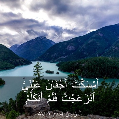 Picture 03 - اَلْمَزَامِيرُ 77:4 AVD - أَمْسَكْتَ أَجْفَانَ - Bible Verse Picture