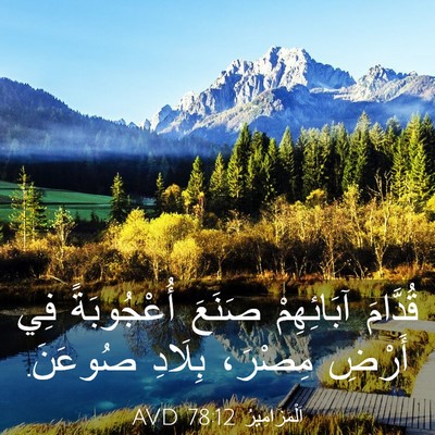 Picture 03 - اَلْمَزَامِيرُ 78:12 AVD - قُدَّامَ آبَائِهِمْ - Bible Verse Picture