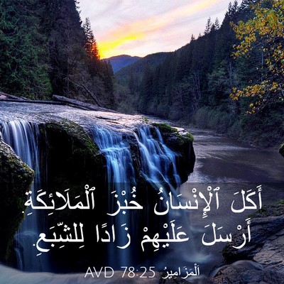 Picture 03 - اَلْمَزَامِيرُ 78:25 AVD - أَكَلَ ٱلْإِنْسَانُ - Bible Verse Picture