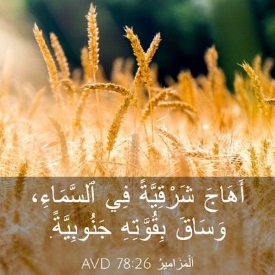 Picture 03 - اَلْمَزَامِيرُ 78:26 AVD - أَهَاجَ شَرْقِيَّةً فِي - Bible Verse Picture