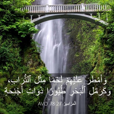 Picture 03 - اَلْمَزَامِيرُ 78:27 AVD - وَأَمْطَرَ عَلَيْهِمْ - Bible Verse Picture