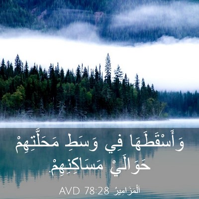 Picture 03 - اَلْمَزَامِيرُ 78:28 AVD - وَأَسْقَطَهَا فِي وَسَطِ - Bible Verse Picture