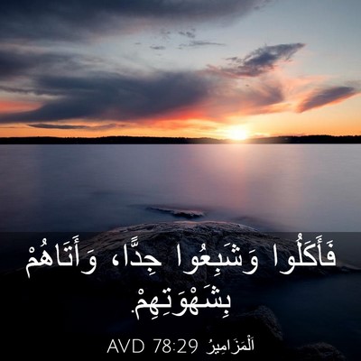 Picture 03 - اَلْمَزَامِيرُ 78:29 AVD - فَأَكَلُوا وَشَبِعُوا - Bible Verse Picture