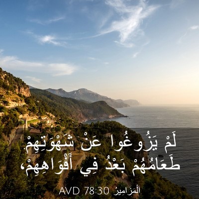 Picture 03 - اَلْمَزَامِيرُ 78:30 AVD - لَمْ يَزُوغُوا عَنْ - Bible Verse Picture