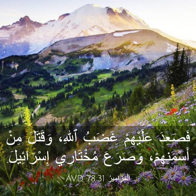 Picture 03 - اَلْمَزَامِيرُ 78:31 AVD - فَصَعِدَ عَلَيْهِمْ - Bible Verse Picture
