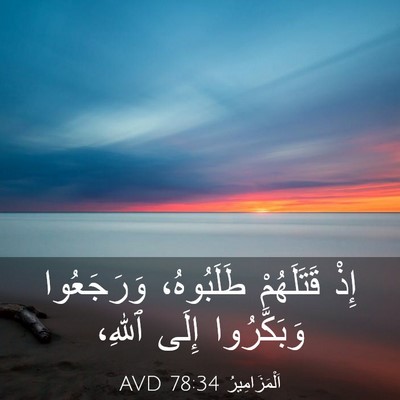 Picture 03 - اَلْمَزَامِيرُ 78:34 AVD - إِذْ قَتَلَهُمْ - Bible Verse Picture