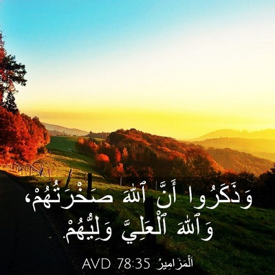 Picture 03 - اَلْمَزَامِيرُ 78:35 AVD - وَذَكَرُوا أَنَّ ٱللهَ - Bible Verse Picture