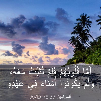 Picture 03 - اَلْمَزَامِيرُ 78:37 AVD - أَمَّا قُلُوبُهُمْ فَلَمْ - Bible Verse Picture