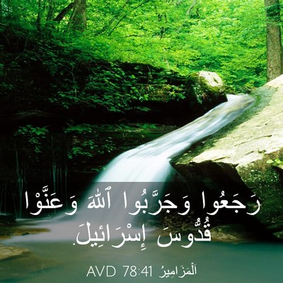 Picture 03 - اَلْمَزَامِيرُ 78:41 AVD - رَجَعُوا وَجَرَّبُوا - Bible Verse Picture