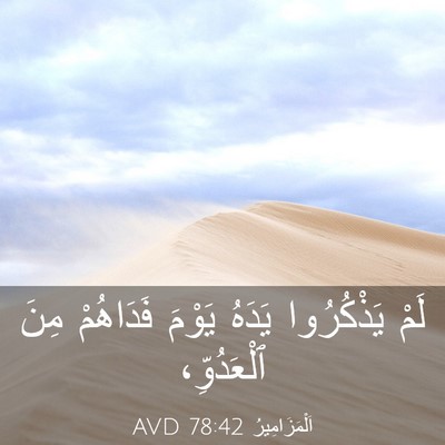 Picture 03 - اَلْمَزَامِيرُ 78:42 AVD - لَمْ يَذْكُرُوا يَدَهُ - Bible Verse Picture