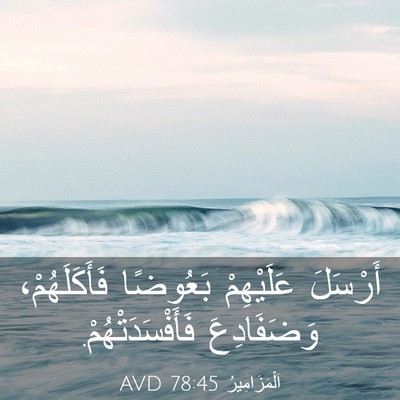 Picture 03 - اَلْمَزَامِيرُ 78:45 AVD - أَرْسَلَ عَلَيْهِمْ - Bible Verse Picture