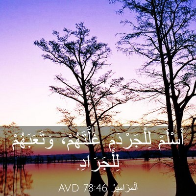 Picture 03 - اَلْمَزَامِيرُ 78:46 AVD - أَسْلَمَ لِلْجَرْدَمِ - Bible Verse Picture