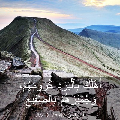 Picture 03 - اَلْمَزَامِيرُ 78:47 AVD - أَهْلَكَ بِٱلْبَرَدِ - Bible Verse Picture