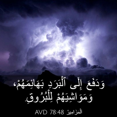 Picture 03 - اَلْمَزَامِيرُ 78:48 AVD - وَدَفَعَ إِلَى ٱلْبَرَدِ - Bible Verse Picture