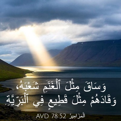 Picture 03 - اَلْمَزَامِيرُ 78:52 AVD - وَسَاقَ مِثْلَ ٱلْغَنَمِ - Bible Verse Picture