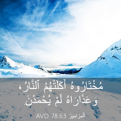 Picture 03 - اَلْمَزَامِيرُ 78:63 AVD - مُخْتَارُوهُ أَكَلَتْهُمُ - Bible Verse Picture