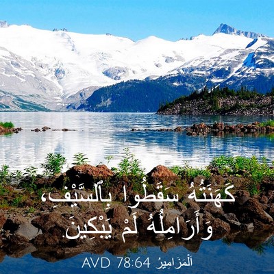 Picture 03 - اَلْمَزَامِيرُ 78:64 AVD - كَهَنَتُهُ سَقَطُوا - Bible Verse Picture