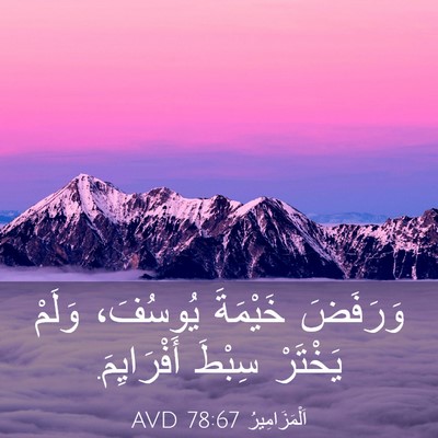 Picture 03 - اَلْمَزَامِيرُ 78:67 AVD - وَرَفَضَ خَيْمَةَ - Bible Verse Picture