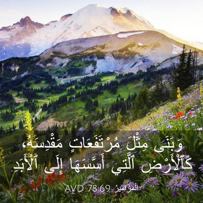 Picture 03 - اَلْمَزَامِيرُ 78:69 AVD - وَبَنَى مِثْلَ - Bible Verse Picture