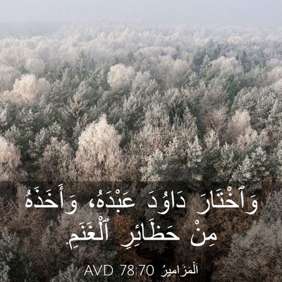 Picture 03 - اَلْمَزَامِيرُ 78:70 AVD - وَٱخْتَارَ دَاوُدَ - Bible Verse Picture
