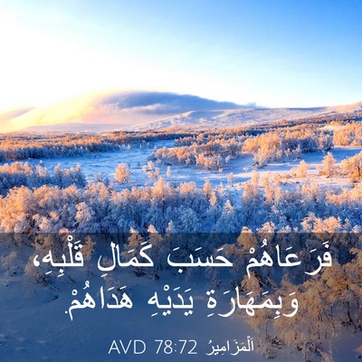 Picture 03 - اَلْمَزَامِيرُ 78:72 AVD - فَرَعَاهُمْ حَسَبَ - Bible Verse Picture