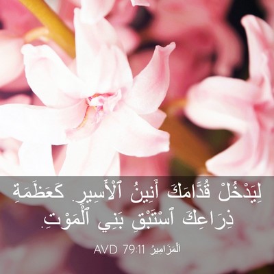 Picture 03 - اَلْمَزَامِيرُ 79:11 AVD - لِيَدْخُلْ قُدَّامَكَ - Bible Verse Picture