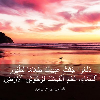 Picture 03 - اَلْمَزَامِيرُ 79:2 AVD - دَفَعُوا جُثَثَ عَبِيدِكَ - Bible Verse Picture